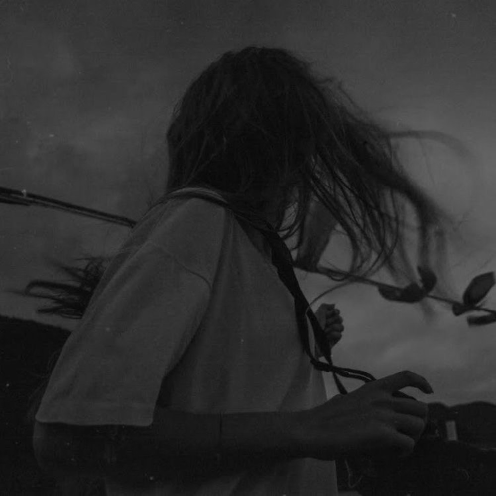 Meet your Posher, Fallon